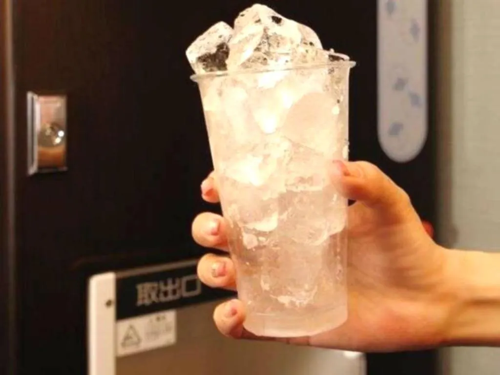 Dormy Inn Akihabara Tokyo